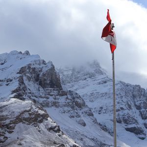 Meet your Posher, Charlotte